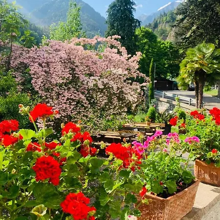 Frühstückspension Tannerhof