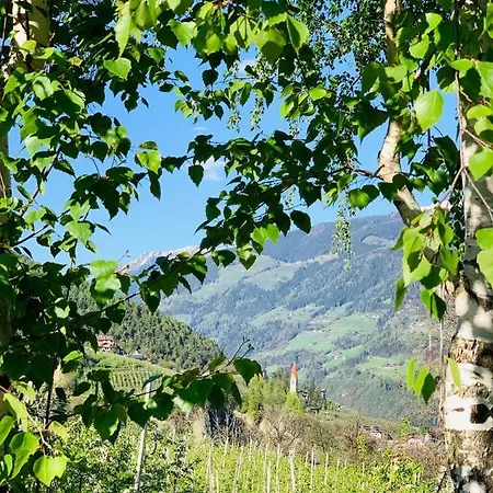 Tannerhof *
